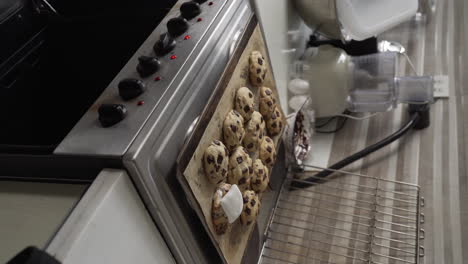 vertical shot of freshly baked chocolate chips cookies removed from the oven, one topped with marshmallow