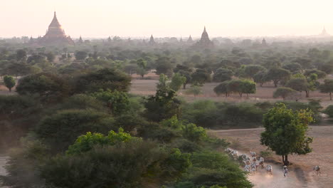 shepherd leads his flock near the remarkable temples of pagan burma