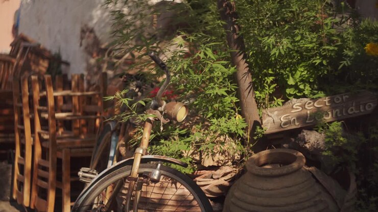 Frontal view of old orange bicycle with rustic antique light on front above fenders pushed against plants in the shade