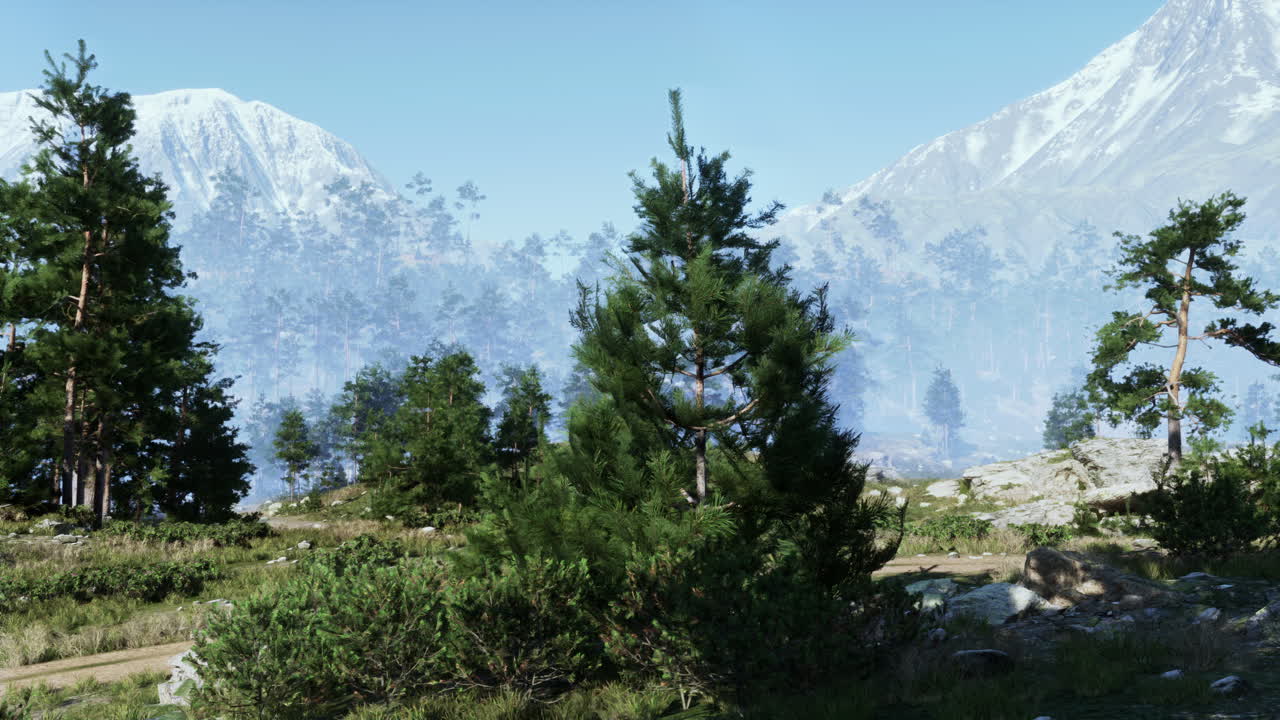 소나무 가 있는 경치 좋은 산악 풍경