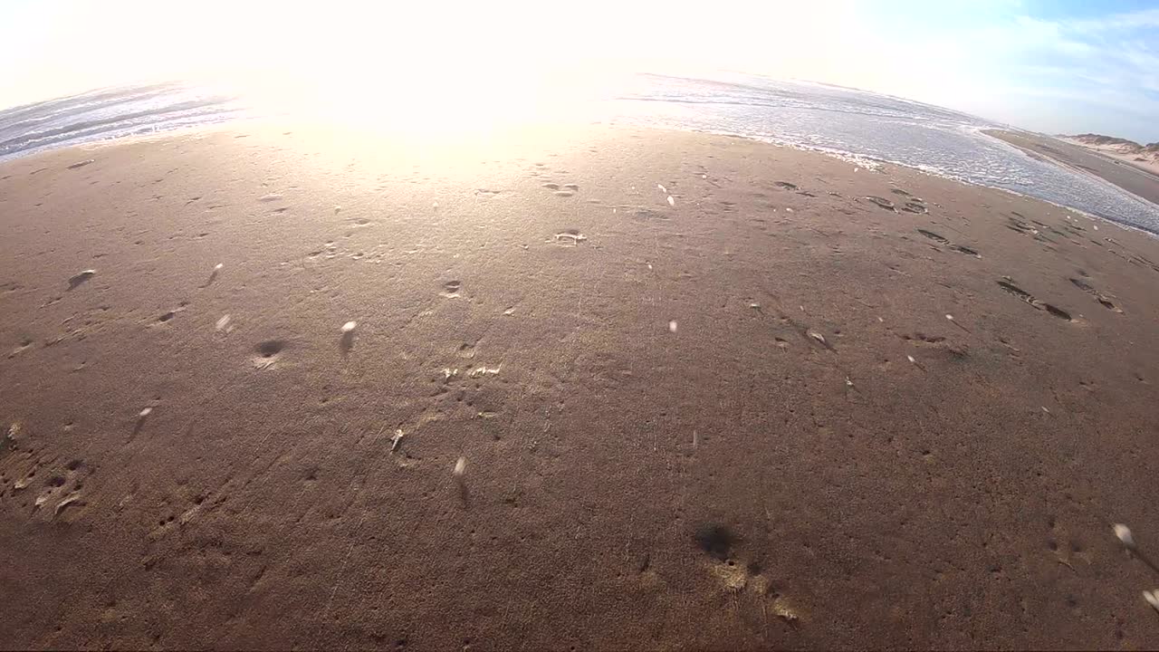 해변에서 폭풍의 해조류 거품, 느린 동작, 모래 해변, 북해, jütland, søndervig, 덴마크, 4k