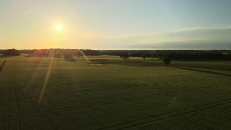 Flying-through-farmland-crops-during-a-beautiful-sunset