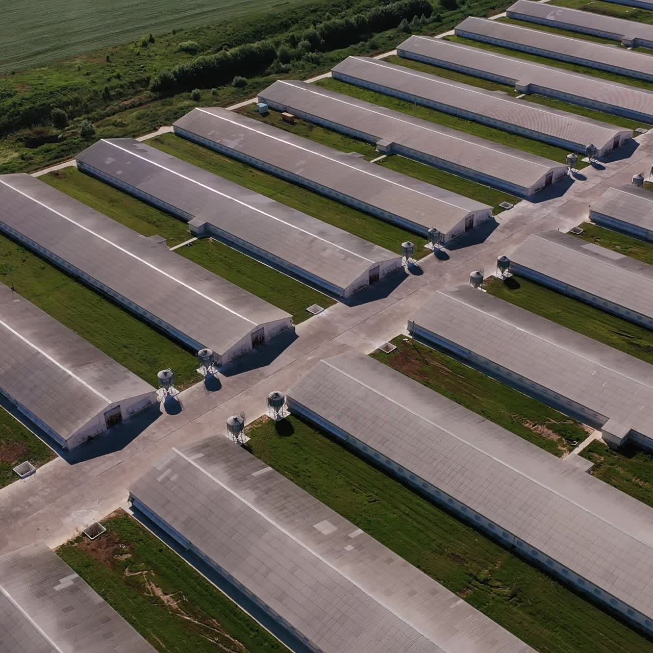 A modern enterprise for the production of various livestock products. Long farming hangars standing in rows at the green farmlands