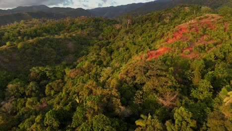 drone aerial footage of jaco costa rica rainforest coast trees jungle central america