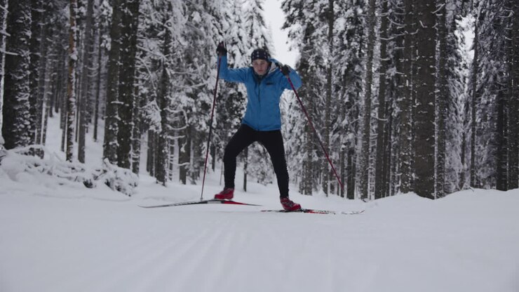 雪の森でクロスカントリースキー