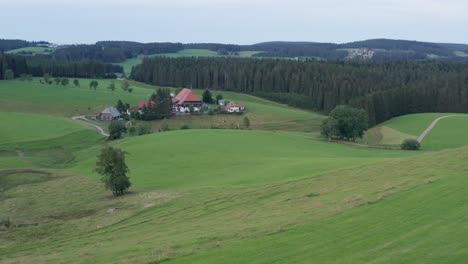 Idyllic-cinematic-Farmhouse-at-the-black-forest-from-the-SWR-"Die-Fallers"-with-meadow-with-a-tree-and-fir-trees-wood-forest-aerial-drone-panorama-slow-approached-shot