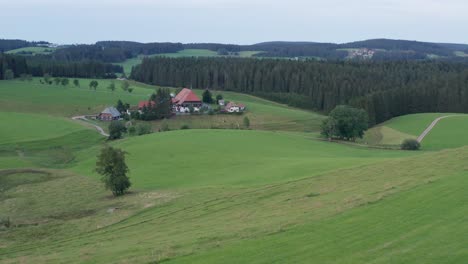 idyllic cinematic farmhouse at the black forest from the swr "die fallers" with meadow with a tree and fir trees wood forest aerial drone panorama slow approached shot