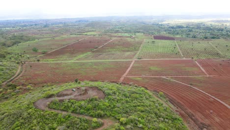 smart agriculture technology- aerial drone view of avocado farm in kenya