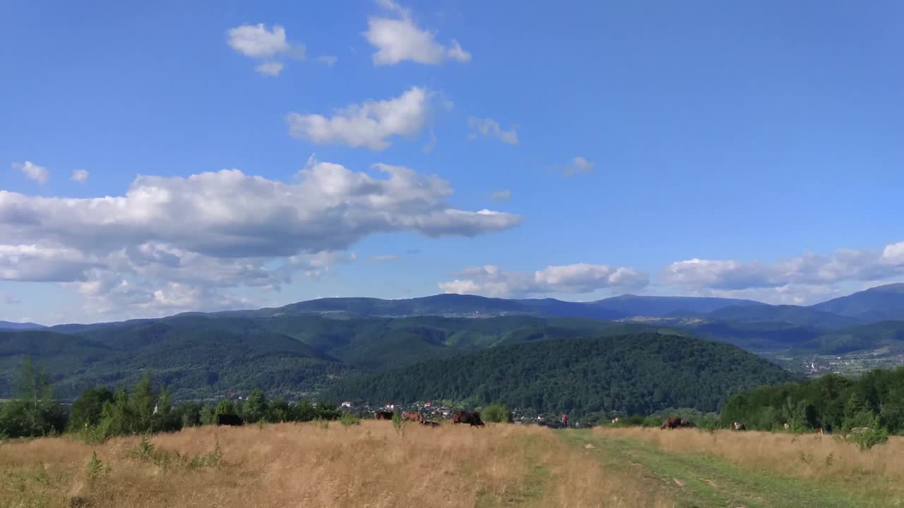 여름 카르파티아