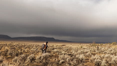 Hunter-walking-through-sunlit-shrubland-against-a-stormy-sky