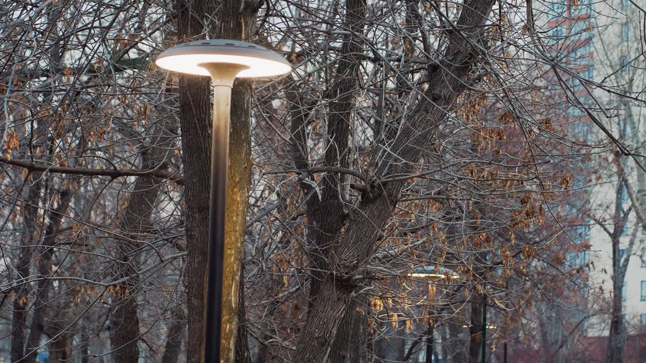 Tall street light casting glow on surrounding bare tree branches during chilly evening in quiet urban park, with dry leaves scattered and distant lights creating tranquil atmospheric backdrop