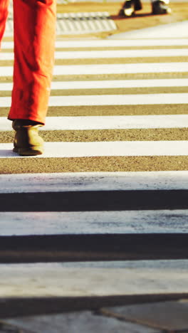 pedestrian crossing the road