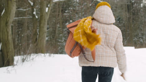 rear view of three friends in winter clothes walking in a winter forest 1