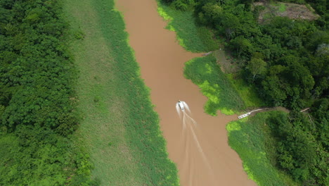 filmado con un dron cinematográfico con un bote que baja por el río amazonas y la selva tropical que rodea el río en perú, inclinándose lentamente hacia el bote