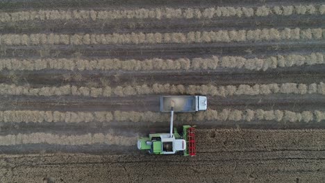 Aerial-shot-of-combine-loading-off-corn-grains