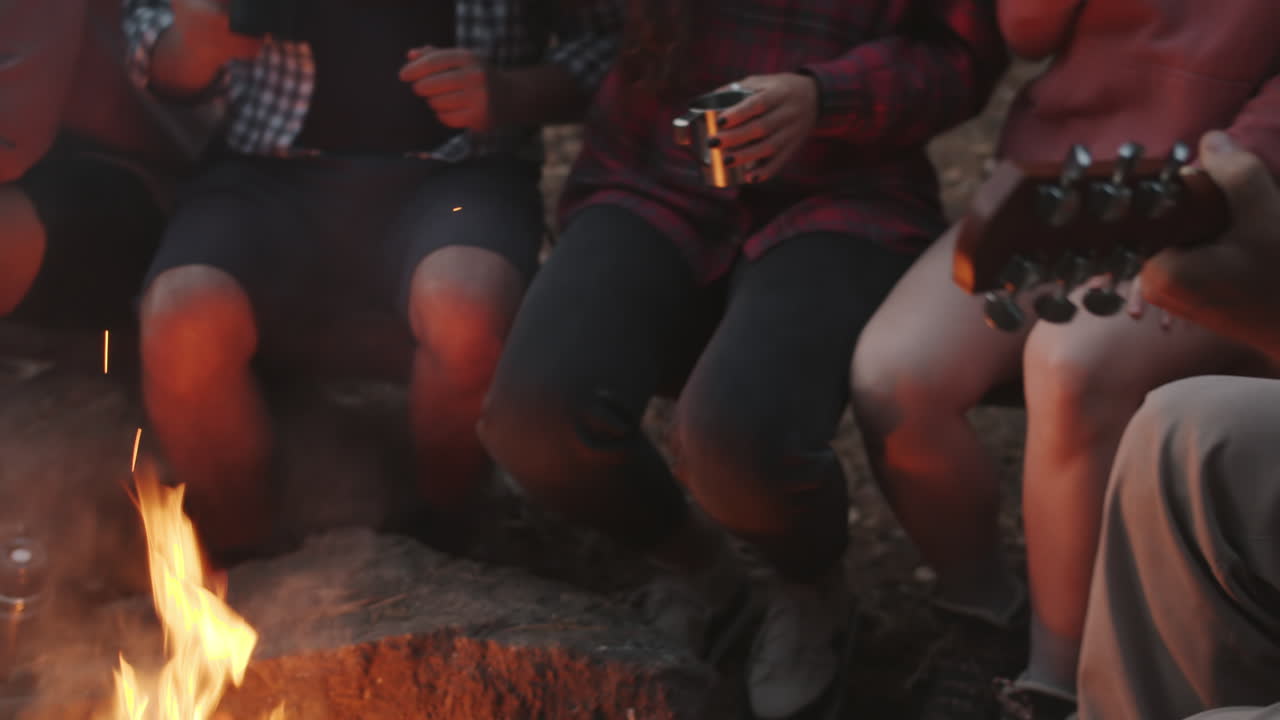 Friends Enjoying a Campfire Gathering