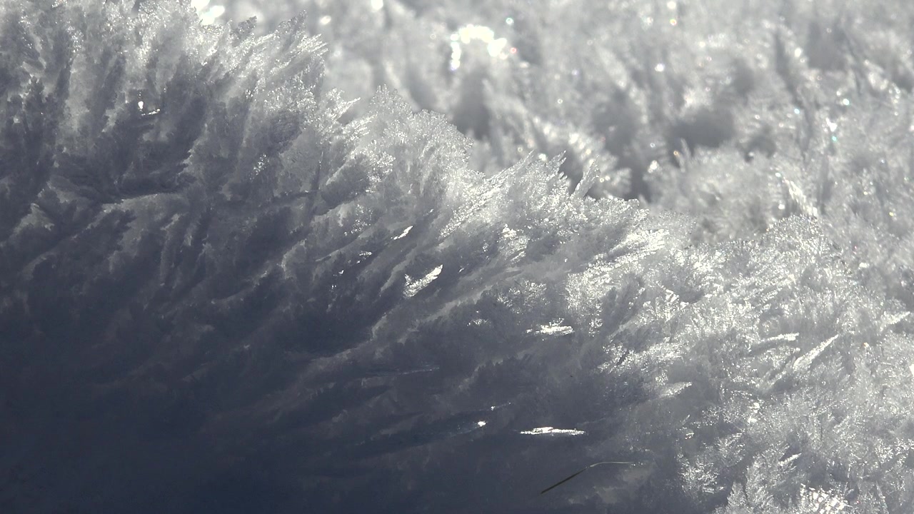 Macro Close-up of Intricate Frost Crystals on Frozen Surface