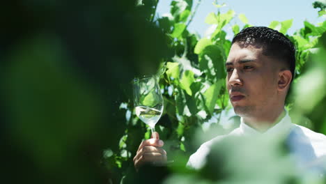 degustación de vino en un viñedo