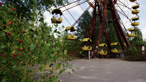 red berries and abandoned ferris wheel in pripyat amusement park, pan right