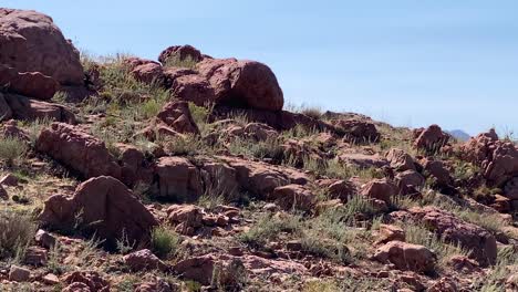 piedras de granito rojizo erosionadas en la ladera de una montaña rocosa, royal gorge, colorado