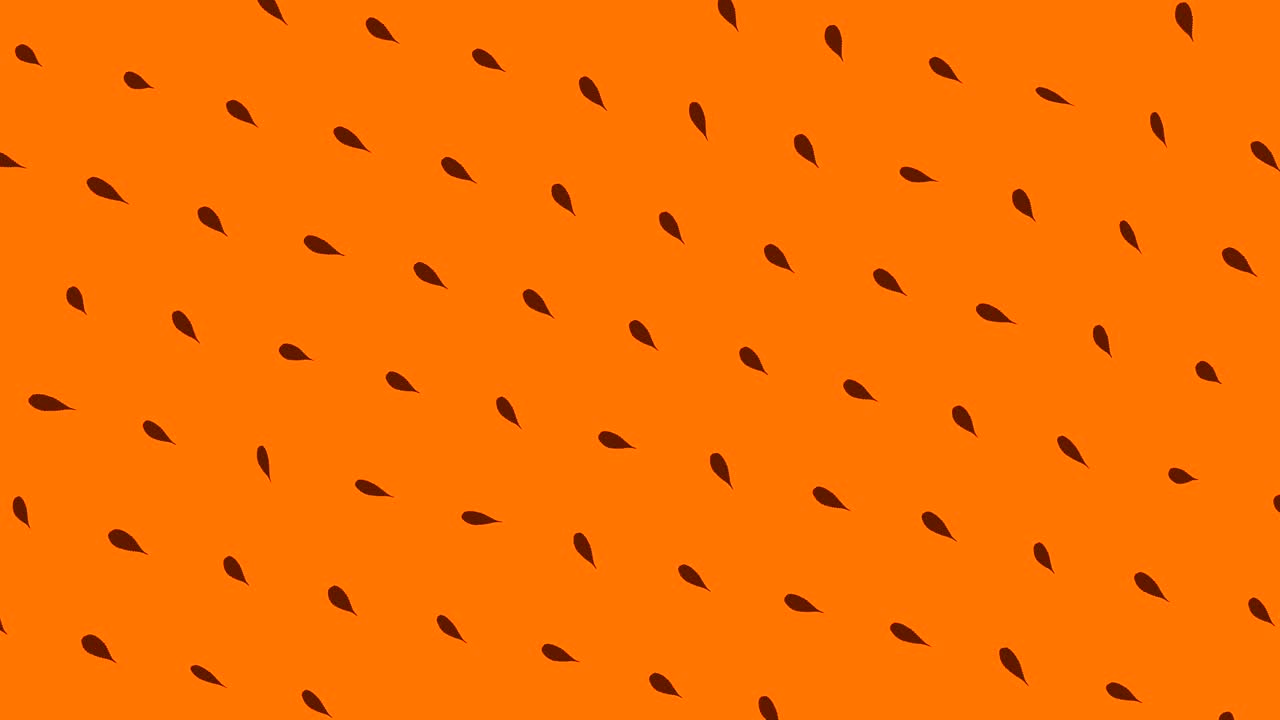 patrón naranja con semillas