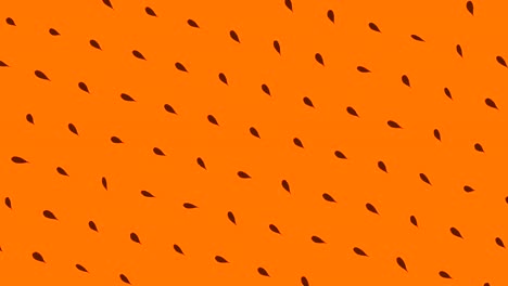 patrón naranja con semillas