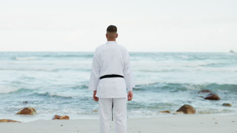 karate, playa o espalda del hombre listo para el marcial