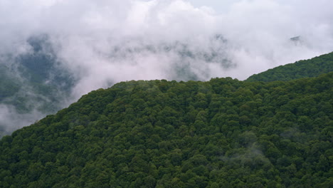 thick mist and fog settle over the smokies in this cinematic view