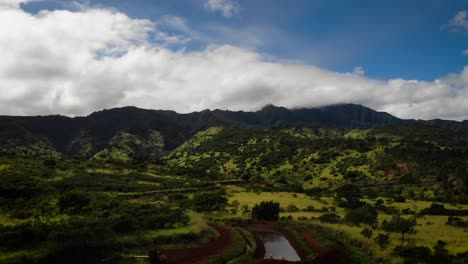 a prairie in hawaii with a mountain in the distance.