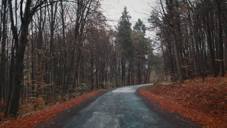 smooth shot of driving through late fall forest road with orange leaves, overcast day