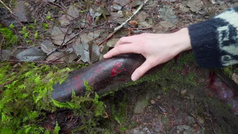 Mano-Repasando-La-Raíz-Del-árbol-De-Madroño.-Camara-Lenta