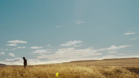 wide panning silhouette shot of a man walking in fiels in iceland in summer