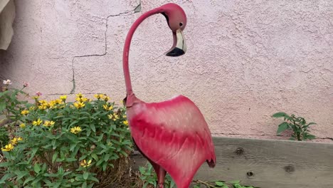 flamingo-yard-decoration-design-hd