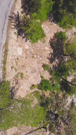 aerial view of mountain road and forest