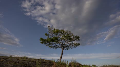 Dramatisches-Zeitraffervideo-Von-Wolken,-Die-Sich-über-Einen-Einzelnen-Baum-Bewegen