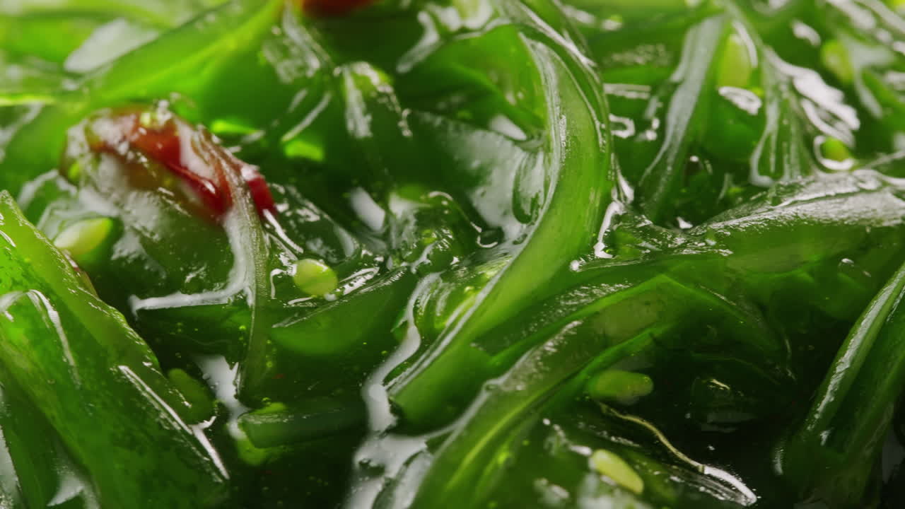 Japanese wakame chuka fermented food. Close-up on a detail of Hiyashi Wakame Chuka or seaweed salad or seaweed with sesame seeds on a plate. Top view. Seafood background. Health concept.