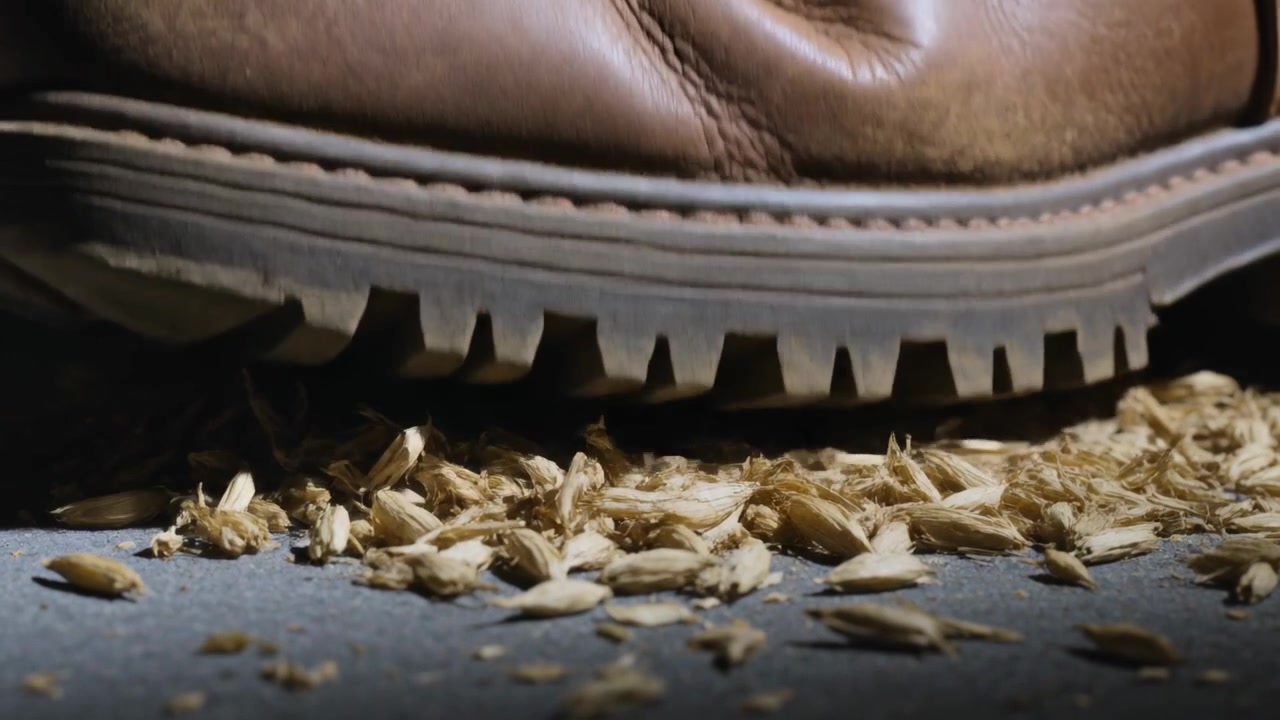 Sepatu bot kulit cokelat menekan, melangkah ke alas studio, menekan sekam biji pucat di bawah sol bergerigi.