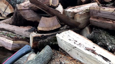 pan from bottom to top of a split, unstacked wood pile.
