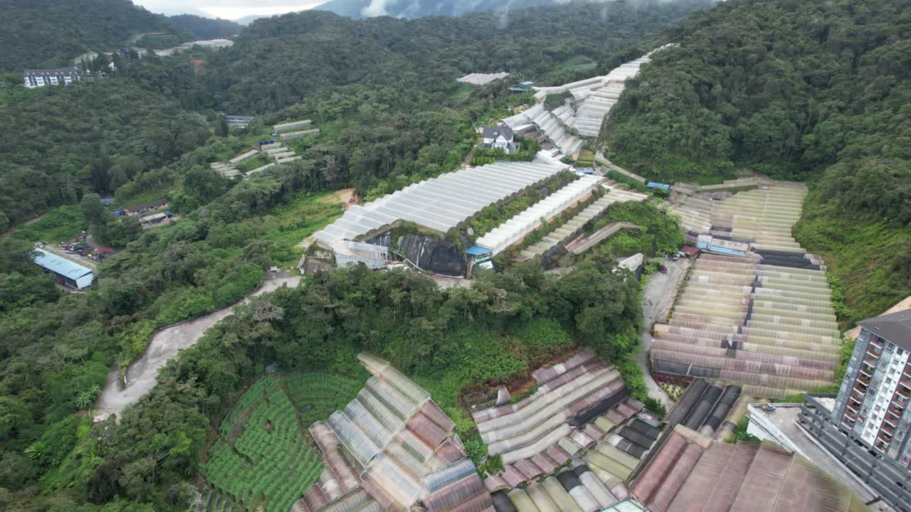 말레이시아의 카메론 하이랜드 지역 내의 브린창 지역의 일반 풍경