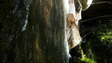 vertical slow motion tilt up shot of a small river in the middle of the jungle of bali in indonesia on a sunny day with view of the lianas, stones in the water and bushes