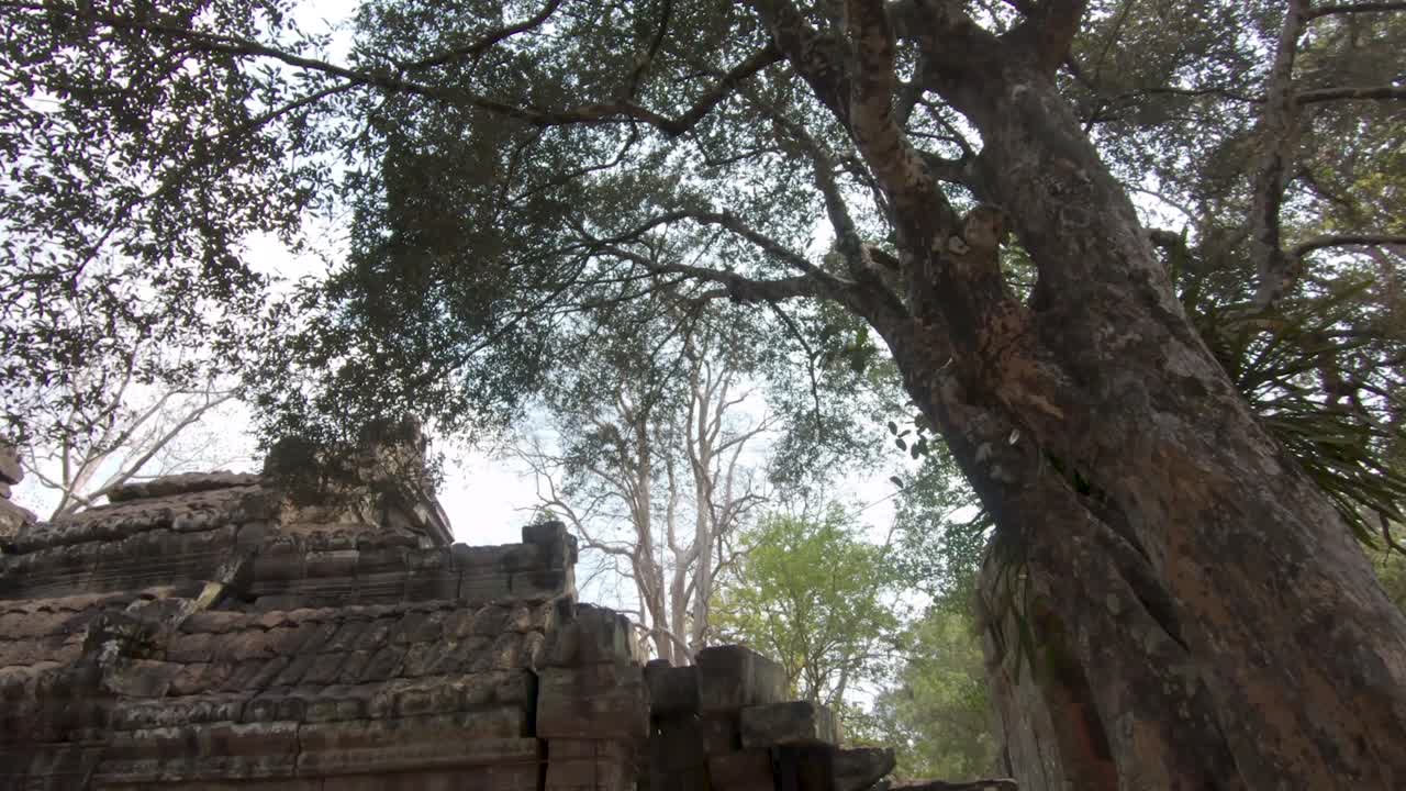 Detailed facade of a temple in Siem Reap depicting multiple statue carvings