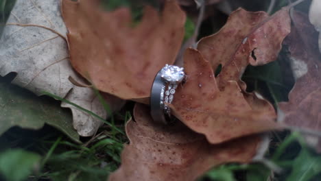 Close-Up-of-Wedding-Rings-together-on-a-leaf-on-the-forest-floor