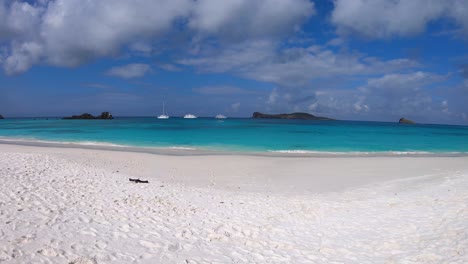 cruises are anchored in a clear water ocean of the galapagos islands. a white sand beach can be seen with some islands on the back.