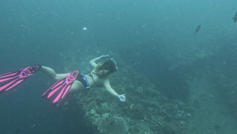 Female-scuba-diver-explores-a-shipwreck-in-Bali,-Liberty-Shipwreck-overgrown-with-corals