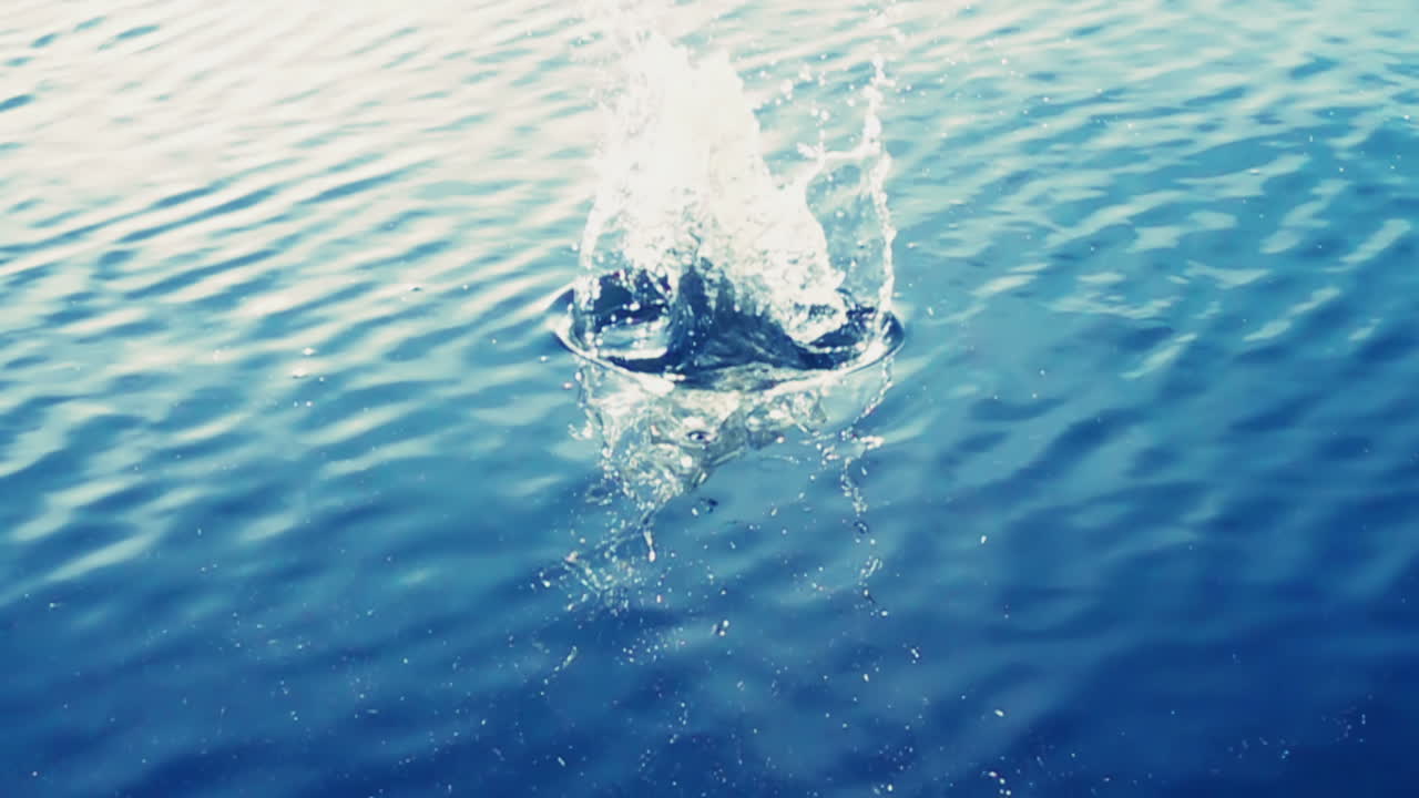 The stone falls in water.Slow Motion