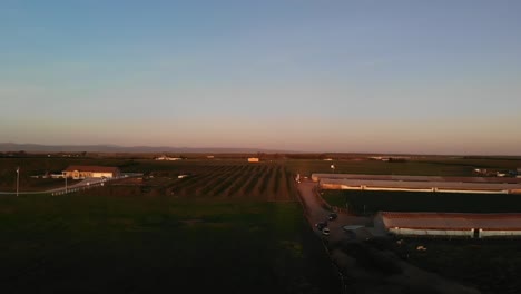 Granja-De-Puesta-De-Sol-De-Drones-De-California