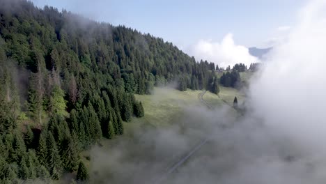 aerial forward of mont chery mountain slope with green meadows and pine tree divide with cloud obscuring half of the scenery