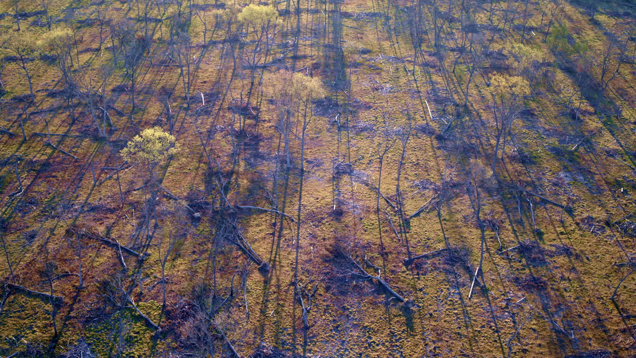 폭넓은 공중 무인기 영상으로 산불의 파괴를 보여습니다.