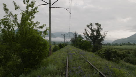 ferrocarril en ruinas cubierto de hierba y flores silvestres cerca de atskuri, georgia