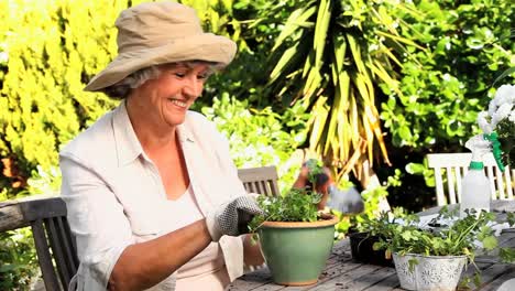 mature woman potting plants in the garden